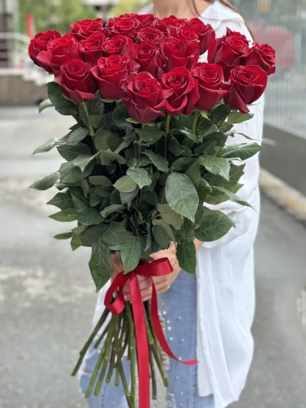 Роза красная Эксплорер